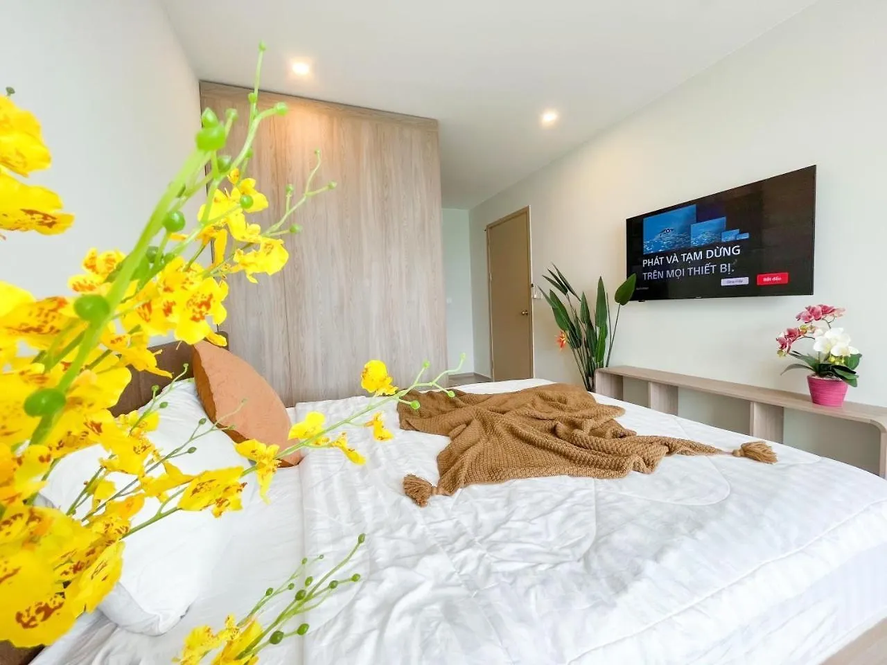 Homestay The Song Vung Tau View Dep Gia Re Ngay Trung Tam